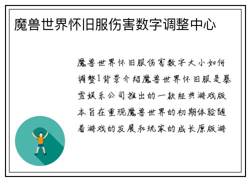 魔兽世界怀旧服伤害数字调整中心